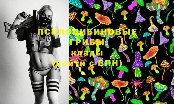 стаф Алексеевка