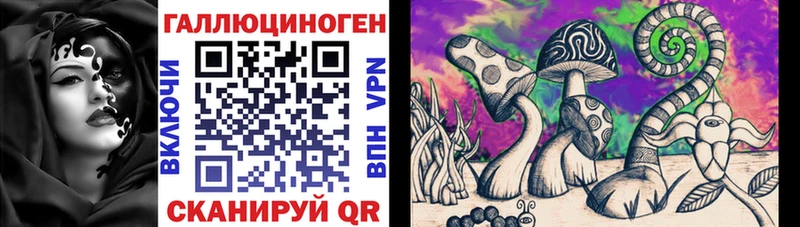 omg онион  Кондопога  Галлюциногенные грибы Cubensis 